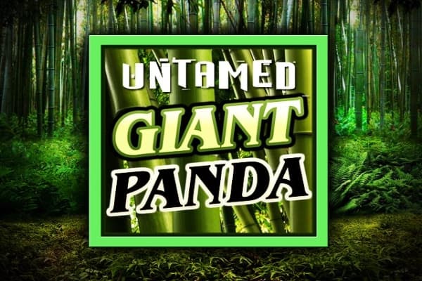 Untamed Giant Panda by Games Global