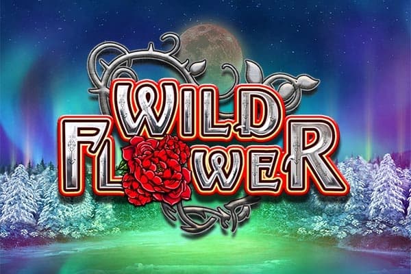 Wild Flower by Big Time Gaming