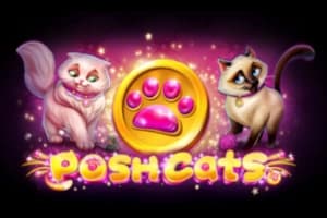 Posh Cats by Platipus