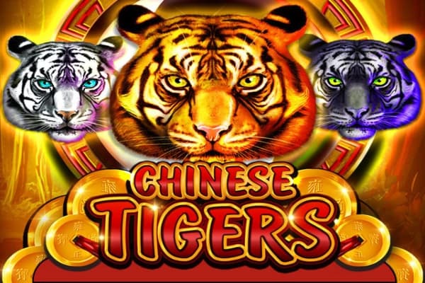 Chinese Tigers by Platipus
