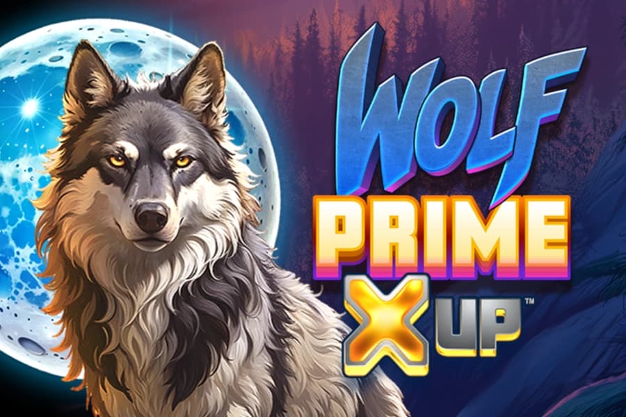 Wolf Prime X UP by Alchemy Gaming