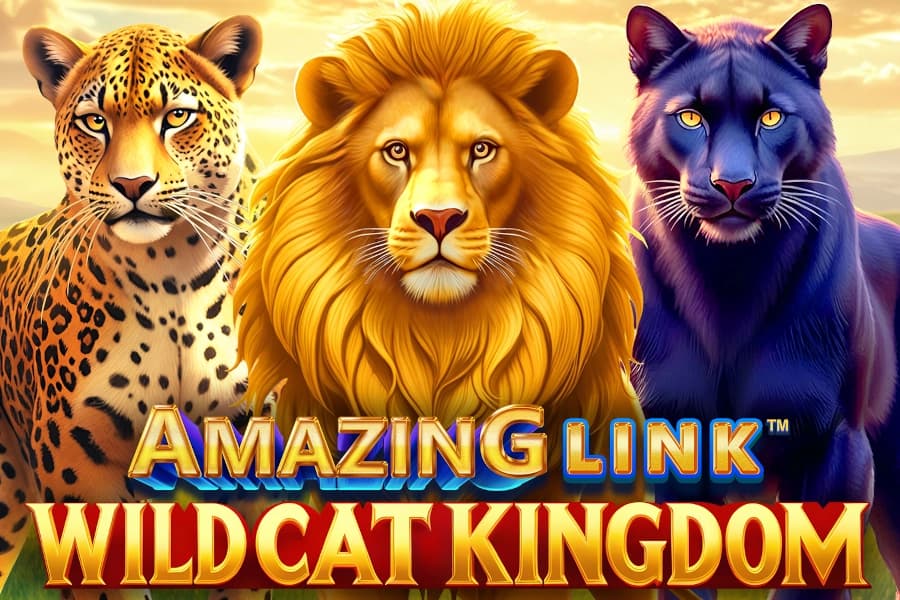 Amazing Link WildCat Kingdom by SpinPlay Games