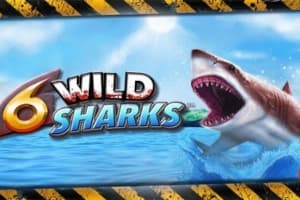 6 Wild Sharks by 4ThePlayer