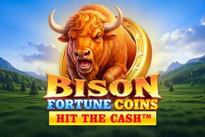 Bison Fortune Coins slot artwork