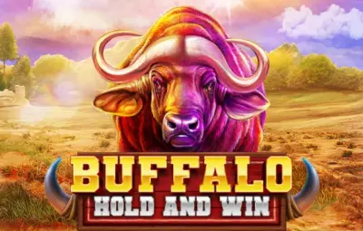 Buffalo Hold and Win slot artwork