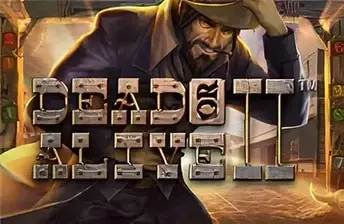 Dead or Alive 2 slot artwork
