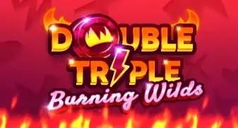 Double Triple Burning Wilds slot artwork