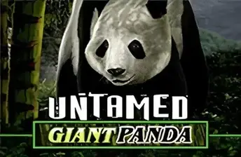 Untamed Giant Panda by Games Global