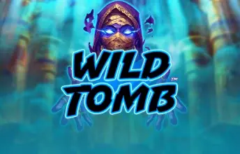 Wild Tomb slot artwork