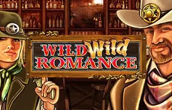 Wild Wild Romance slot artwork