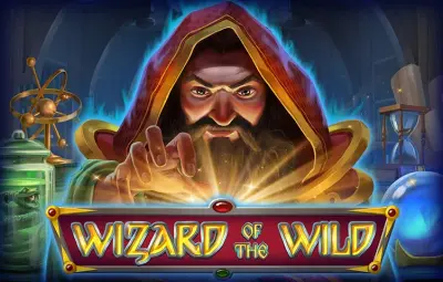 Wizard of the Wild slot artwork