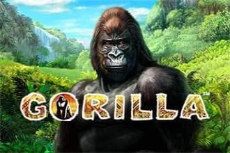 Gorilla by Greentube