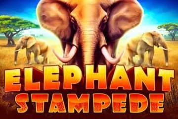 Elephant Stampede by RubyPlay