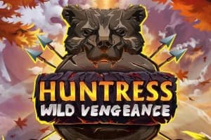 Huntress Wild Vengeance by Print Studios