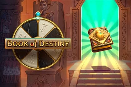 Book of Destiny by Print Studios