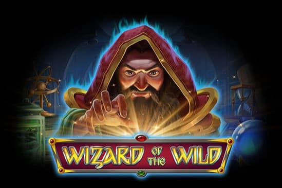Wizard of the Wild by Platipus