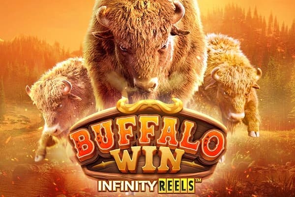 Buffalo Win by Pocket Games Soft