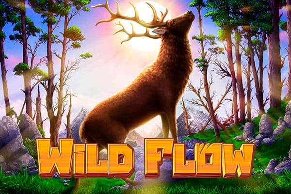 Wild Flow by Habanero