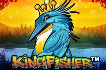 Kingfisher by Wishbone