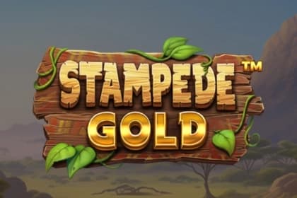 Stampede Gold by Betsoft
