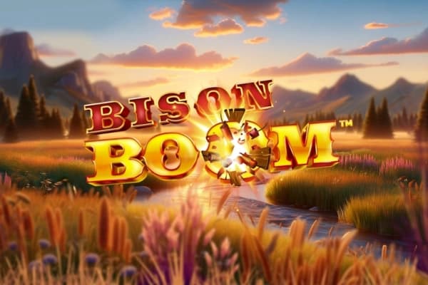 Bison Boom by Northern Lights Gaming
