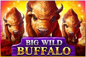 Big Wild Buffalo by Belatra