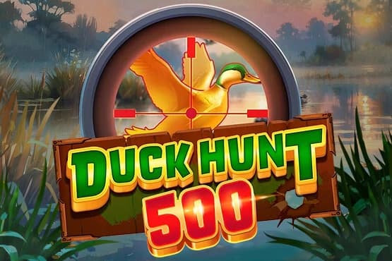 Duck Hunt 500 by AvatarUX
