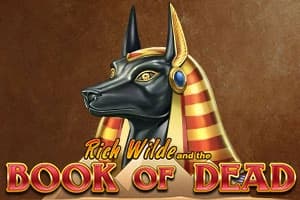 Book of Dead by Play'n GO