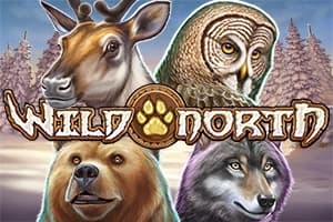 Wild North by Play'n GO